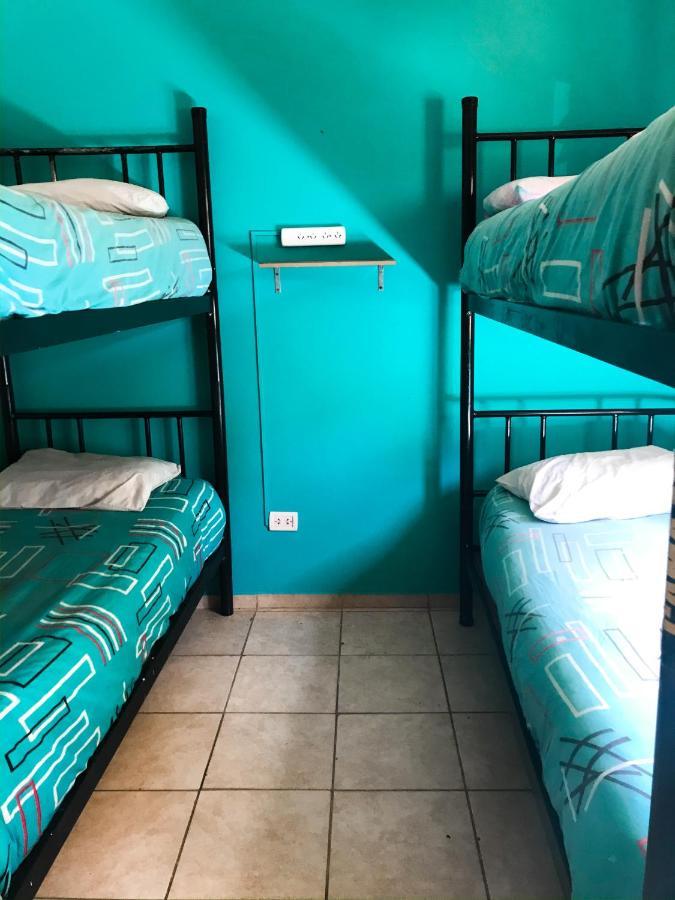 Hostel Punto Patagonico Neuquen Ngoại thất bức ảnh